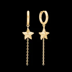 STUDIO Z STARFISH LUSTRE SØLV FORGYLDT ØRERINGE MED SØSTJERNE - 7210903
